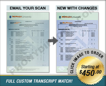 Full Custom From Your Scan